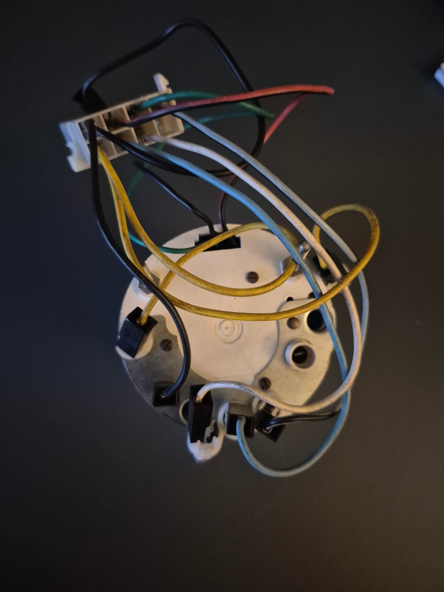 Ferrari 126C Formel 1 Kraftstoffdruck und Öldruck Veglia Borletti generalüberholt