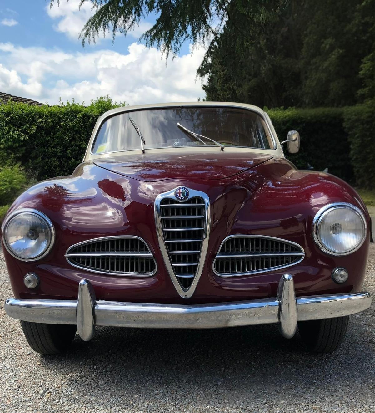 1952 Alfa Romeo 1900 with Castagna coachwork – Front view showcasing elegant Italian design.