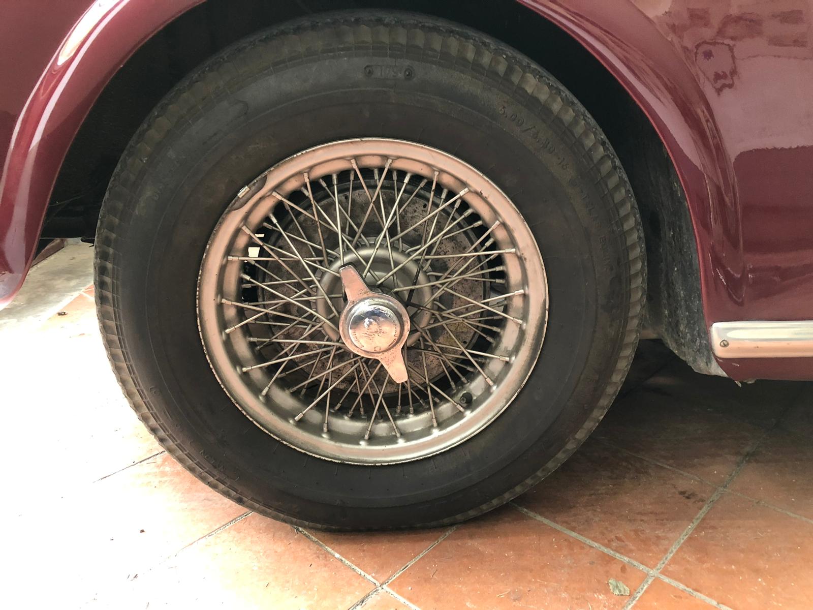 Alfa Romeo 1900 Castagna Wheel