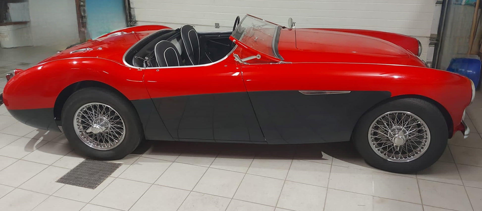 1954 Austin Healey 100 – Side view showcasing the elegant British roadster design.